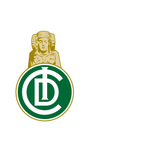 Iomar Vidal - Ilicitano Elche